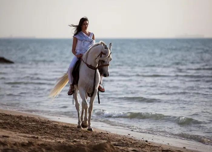 شالية مجهز بالكامل موسي كوست Fully Equipped Mosa Coast Apart Otel